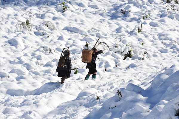 Đến Sapa mùa đông thích nhất là được ngắm tuyết
