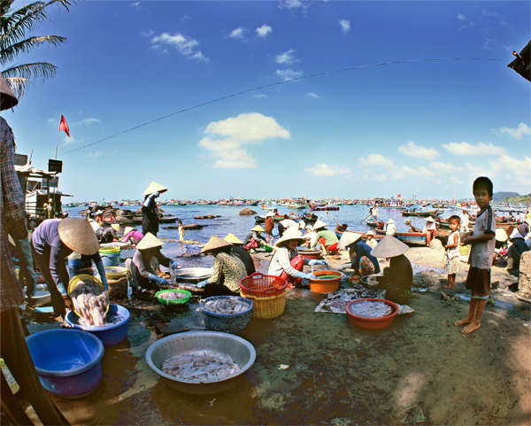 Chợ Dương Đông đa dạng các loại hải sản tươi ngon